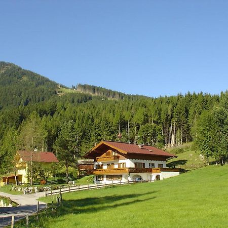 Ferienwohnung Landhaus Dickhardt Schladming Exterior foto